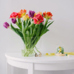 Homm Bitkisel Vizyon – Misyon